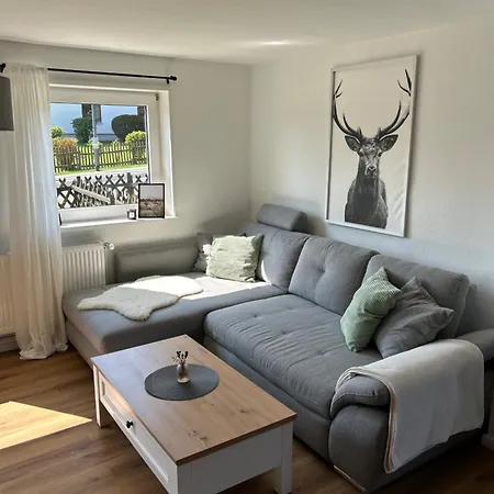 Semesterbostad Bergwiesenblick38678 *